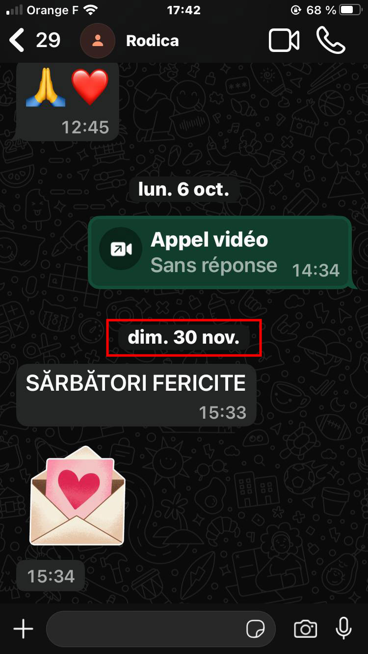 Mesajul primit de Beniamin de pe telefonul Rodicăi Stănoiu cu două zile înainte de decesul ei