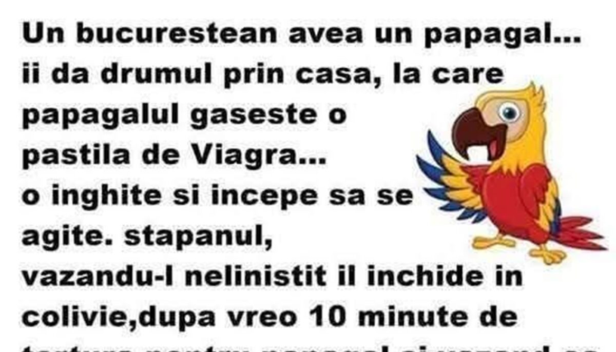Imagine Stire BANCUL ZILEI | Un bucureștean avea un papagal | 2review.ro