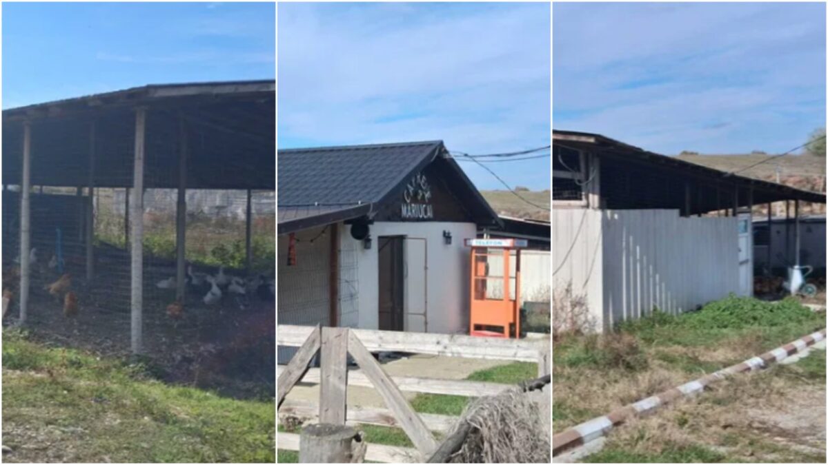 Imagine Stire Localitatea din România în care poți cumpăra o fermă de 4000 m² cu 50.000 de euro. E la doar o oră de București | 2review.ro