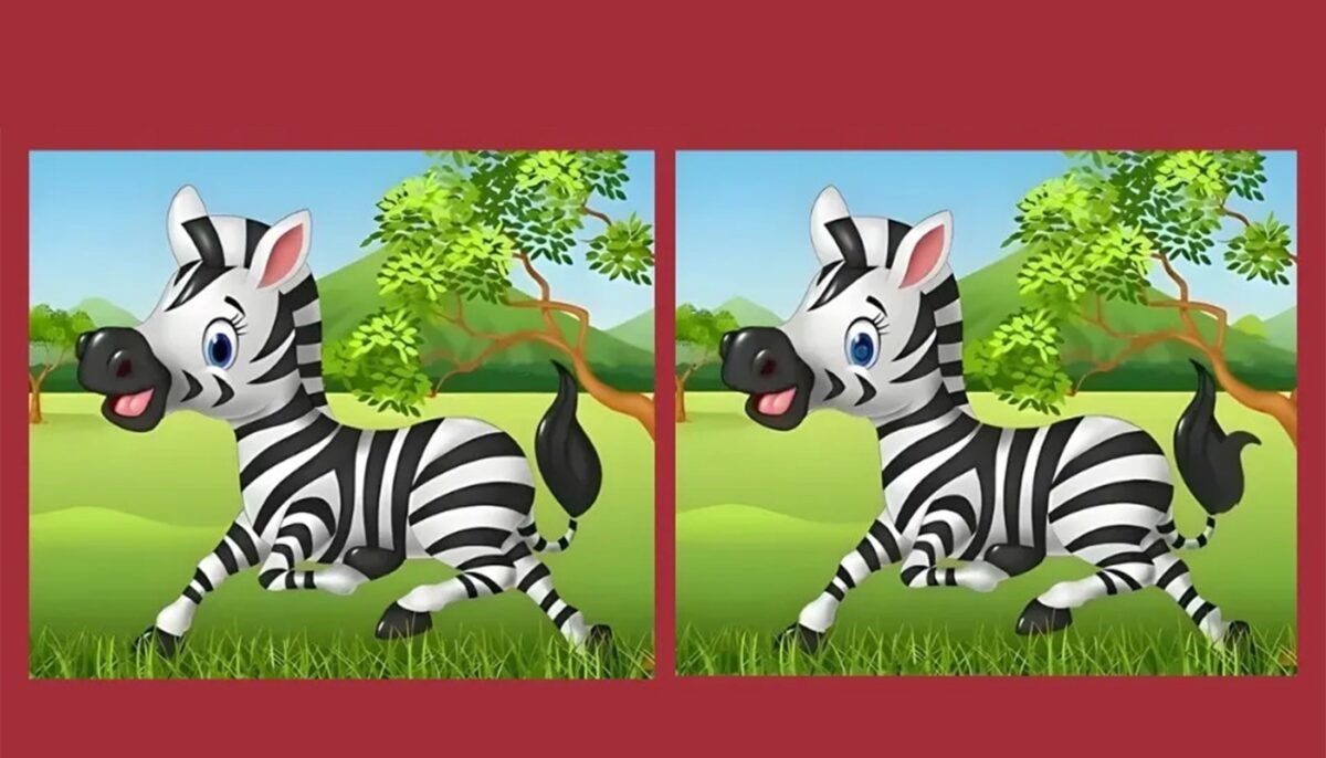 Imagine Stire Test de perspicacitate | Identificați toate diferențele dintre aceste două zebre. Câte ați găsit? | 2review.ro