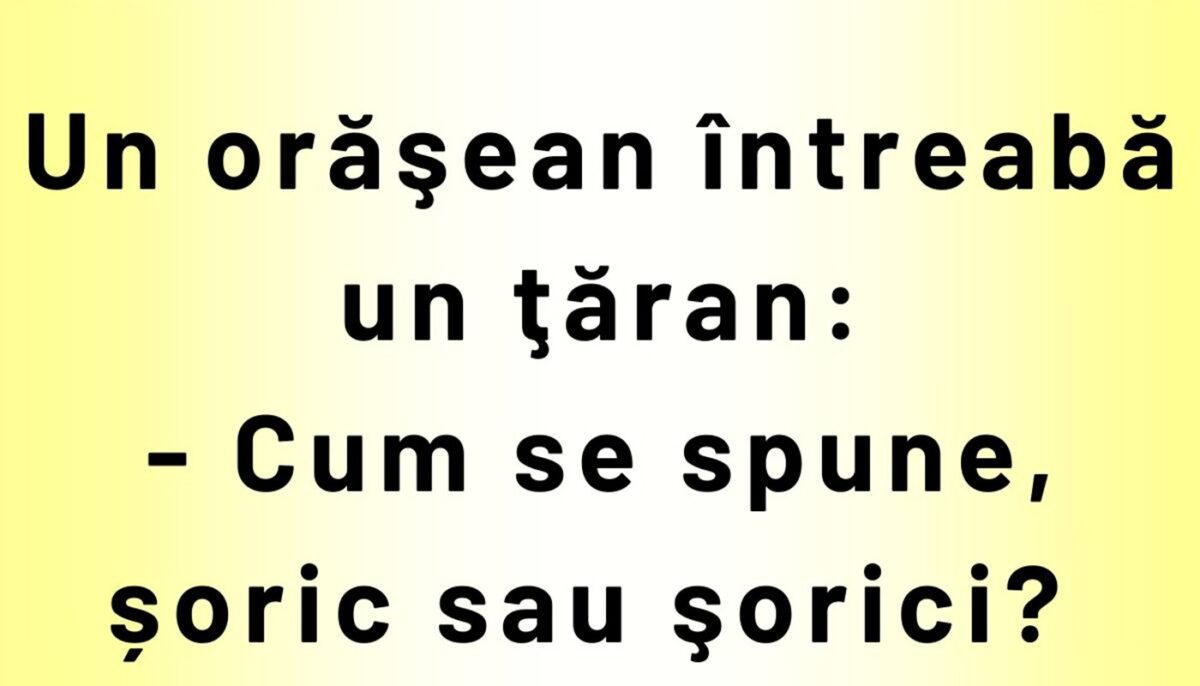 Imagine Stire BANCUL ZILEI | „Cum se spune: șoric sau șorici?” | 2review.ro