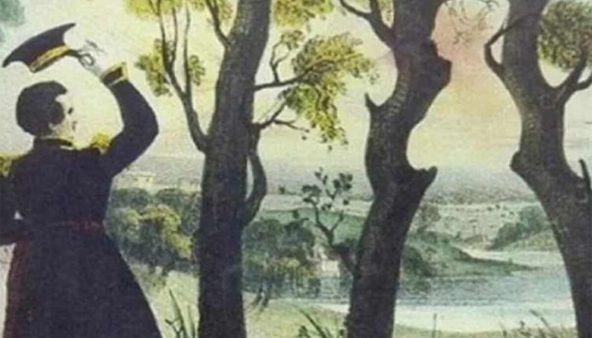 Imagine Stire Iluzie optică virală | Ești un geniu dacă poți depista femeia ascunsă în această poză. 99% renunță! | 2review.ro