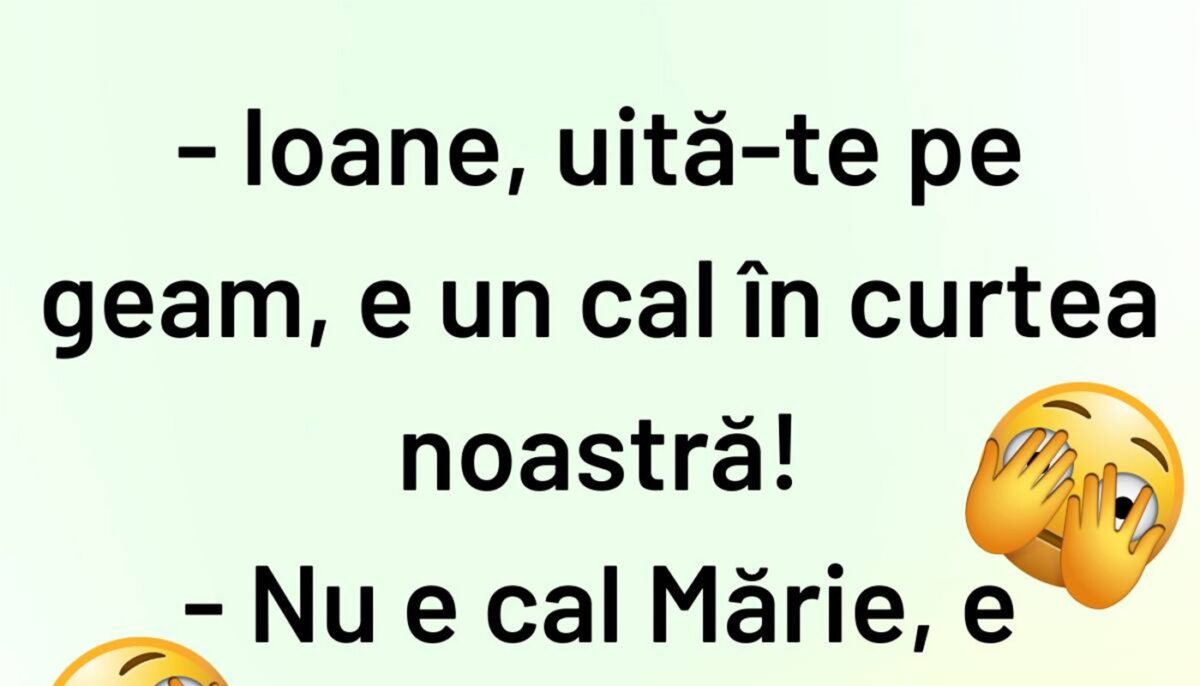 Imagine Stire BANCUL ZILEI | „Ioane, e un cal în curtea noastră” | 2review.ro