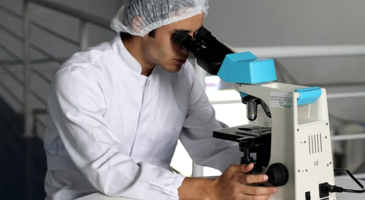 Există o „a treia stare” între viață și moarte. Cercetările celulare care au dus la descoperirea ei