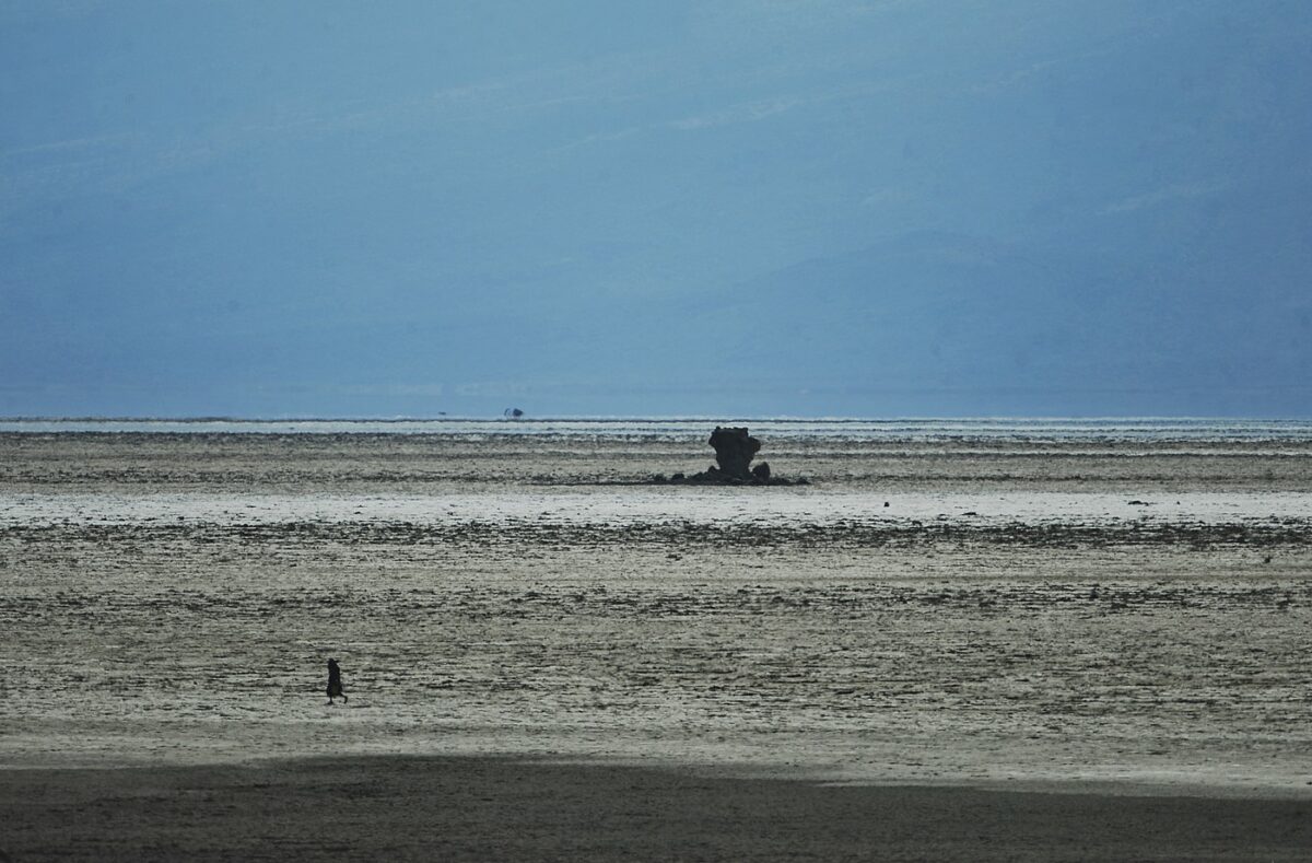 Imagine Stire Lacul care transformă păsările în stană de piatră. De ce apa ia viața unor animale | 2review.ro