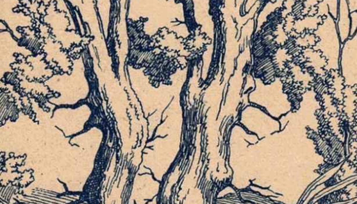 Imagine Stire Iluzie optică virală | Ești un geniu dacă poți identifica 3 chipuri umane în această fotografie | 2review.ro