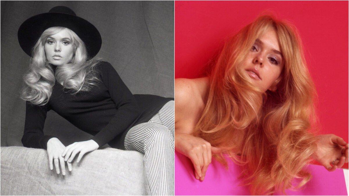 Imagine Stire A fost una dintre cele mai dorite actrițe de la Hollywood, dar astăzi a ajuns de nerecunoscut. Cum arată Joey Heatherton | 2review.ro