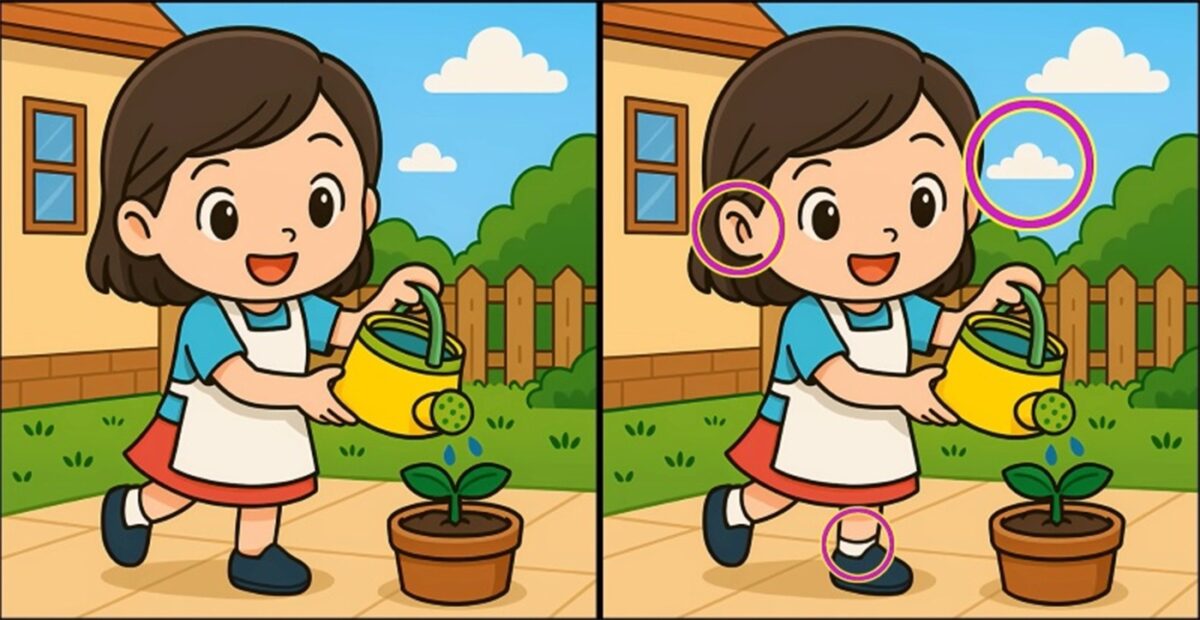 Test de logică - rezolvare