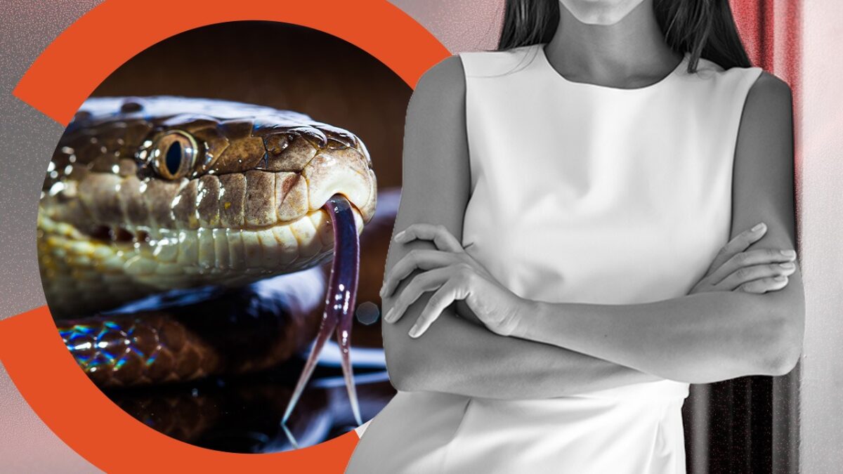 Imagine Stire Doliu în  muzică! O artistă a murit după ce a fost mușcată de șarpe. Clinica medicală nu avea antidotul pe stoc | 2review.ro