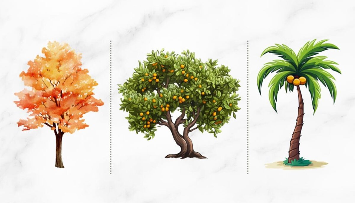 Imagine Stire Cel mai tare test psihologic | Alege un copac! Răspunsul îți va dezvălui cel mai mare talent | 2review.ro