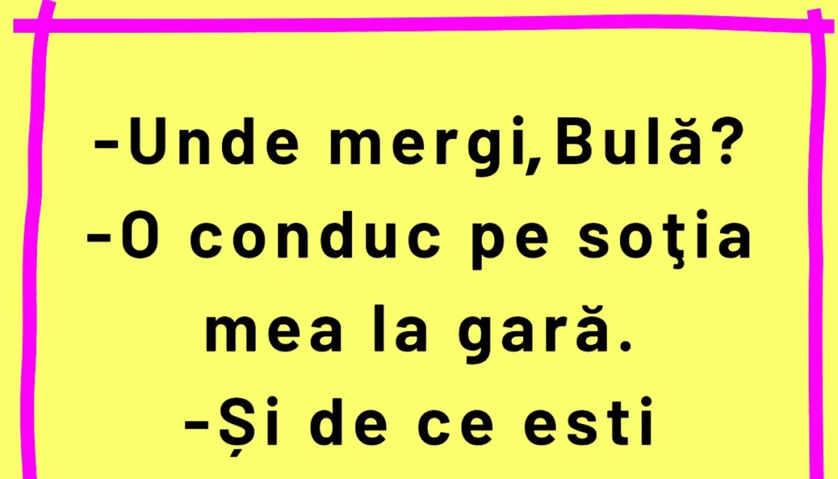 Imagine Stire BANC | Bulă își conduce nevasta la gară | 2review.ro