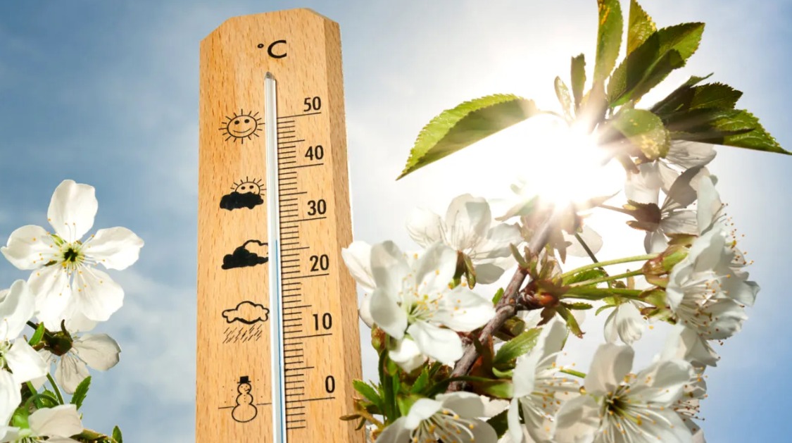 ANM a anununțat cum o să fie primăvara aceasta