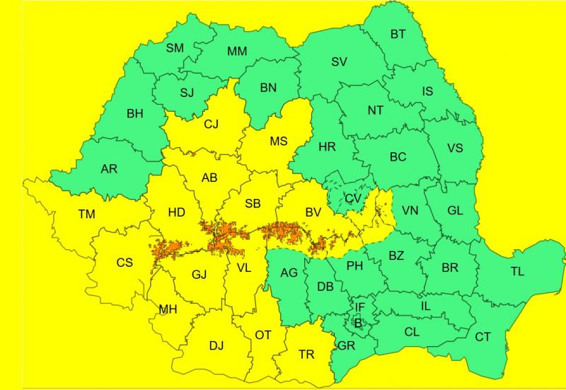 Cod galben și portocaliu