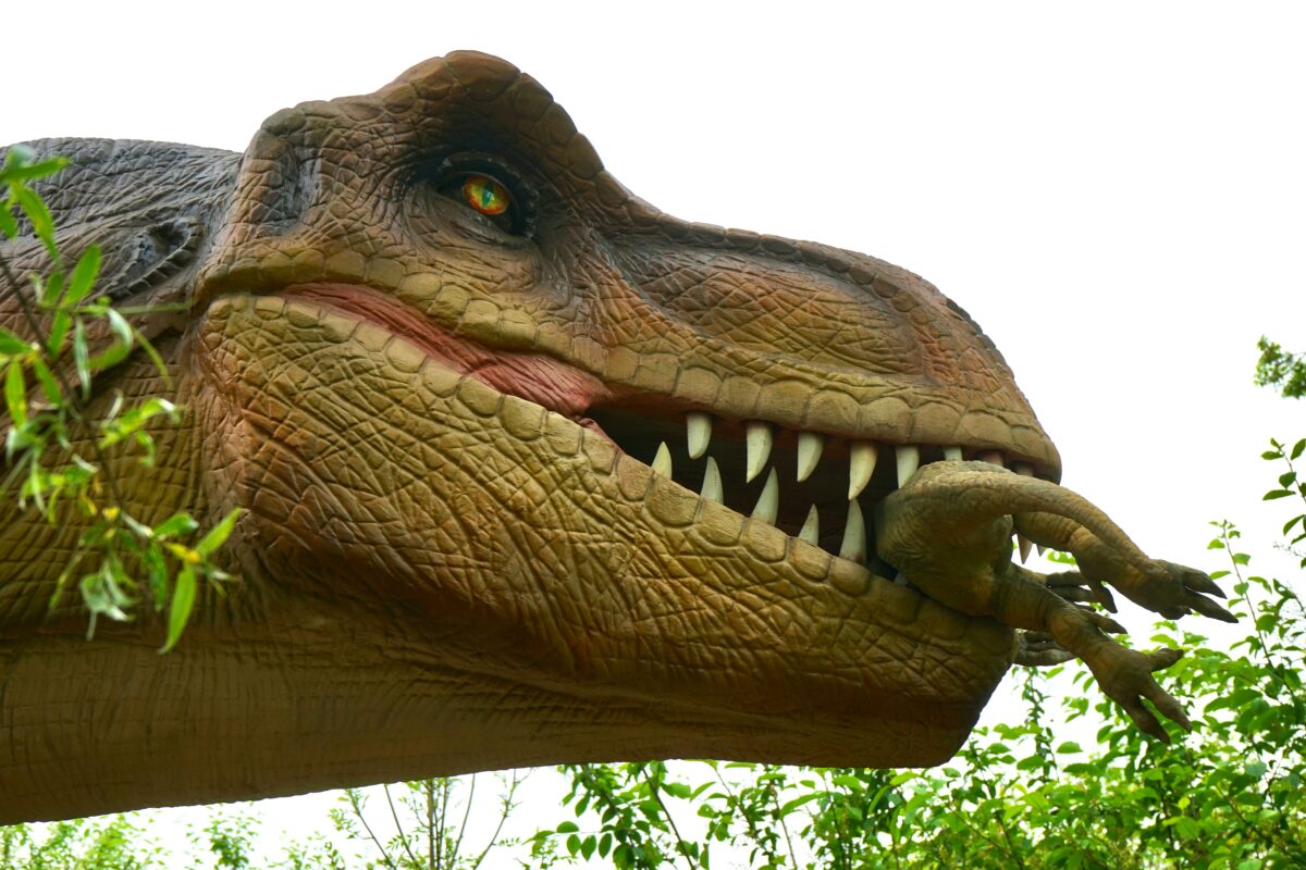 Tyrannosaurus rex avea pene? Descoperirile din China care au schimbat imaginea „reptilei perfecte”