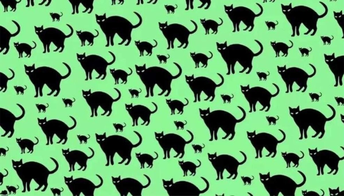Test de inteligență | Găsiți șoricelul ascuns printre pisicile din imagine!