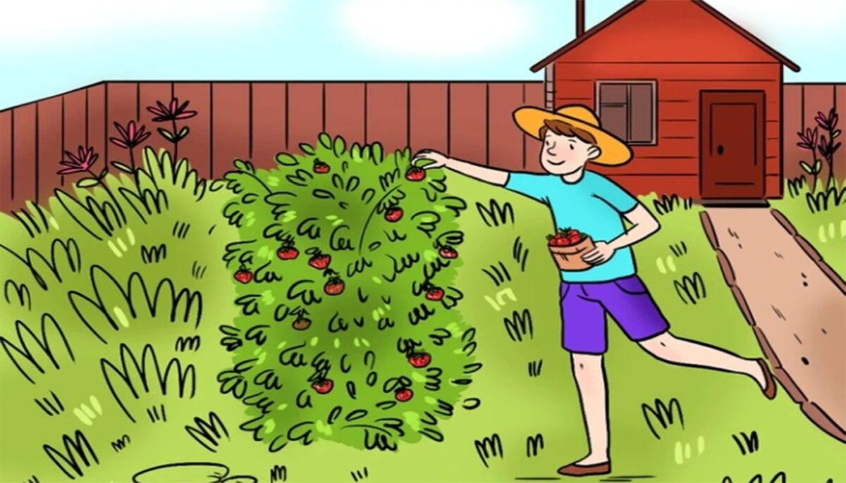 Imagine Stire TEST IQ | Ești un geniu dacă poți descoperi greșeala din această imagine | 2review.ro