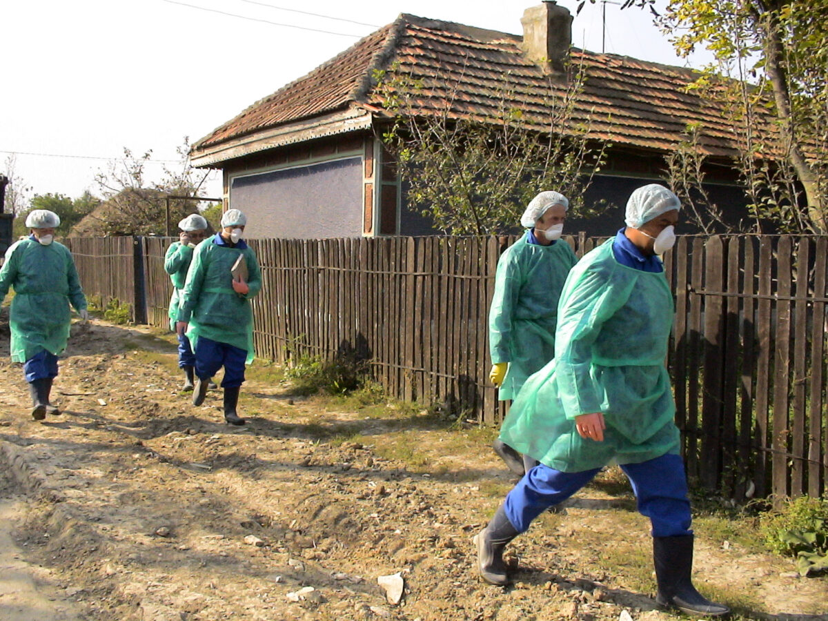 Înainte de Covid, România a avut gripa aviară. Prea multe întrebări au rămas fără răspuns