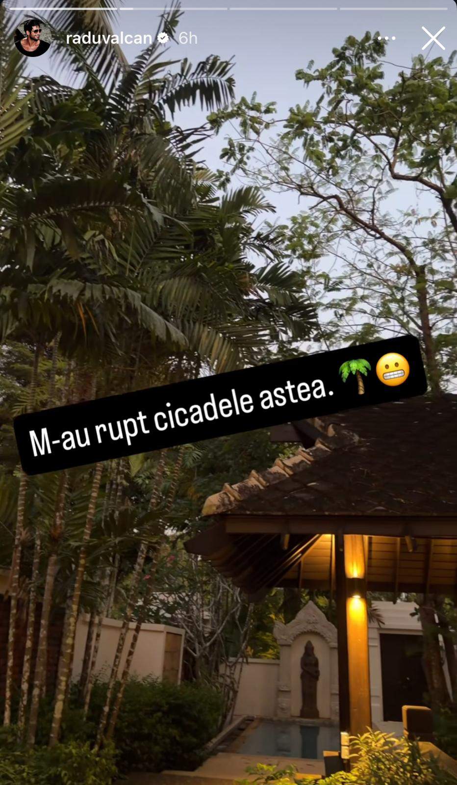 Ce nu îi dă liniște lui Radu Vâlcan