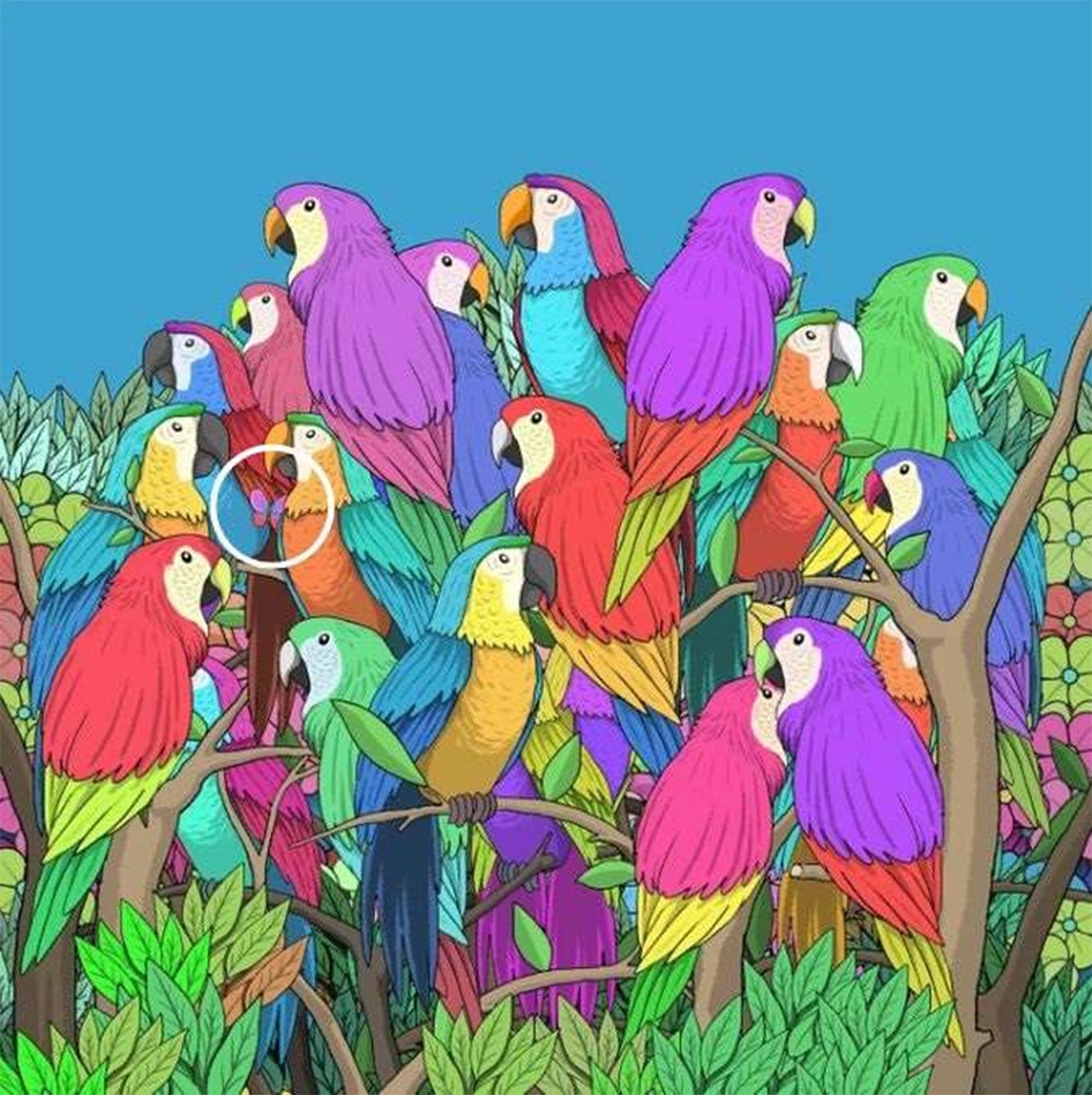 Test de perspicacitate