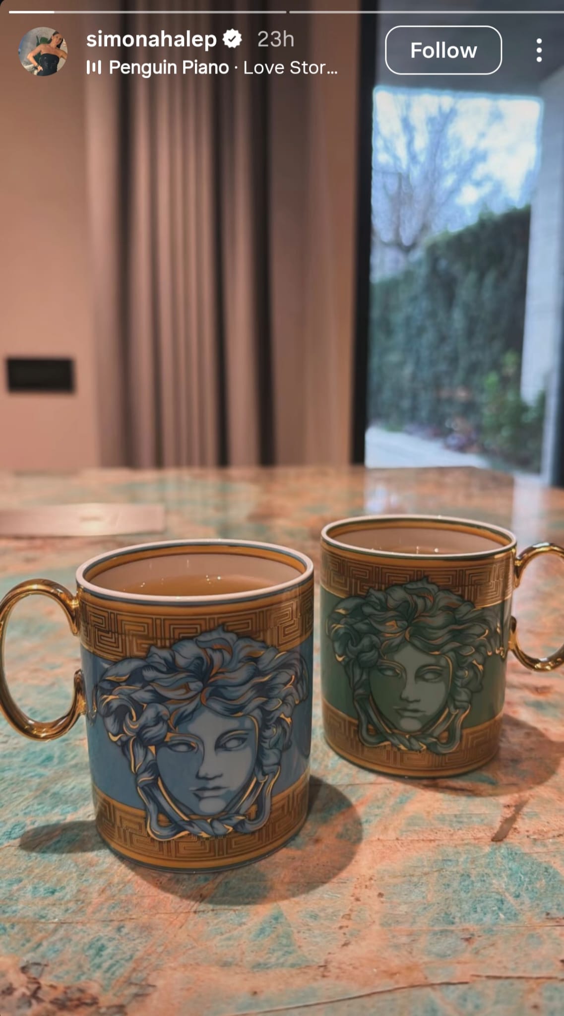 Simona Halep, nou iubit/ Sursa foto: Instagram