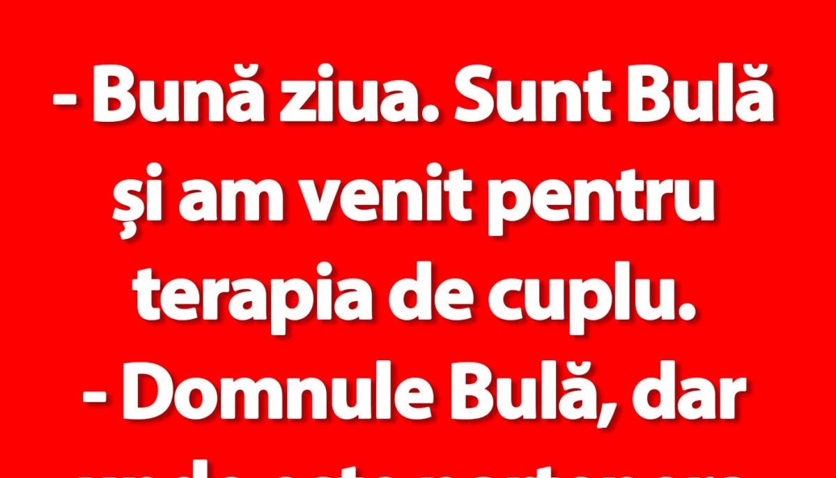 Imagine Stire BANC | Bulă și terapia de cuplu | 2review.ro