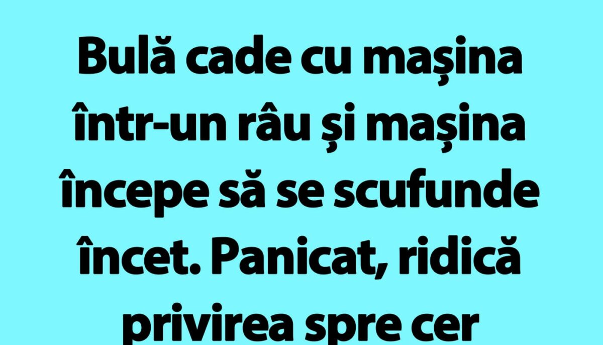 Imagine Stire Bancul de sâmbătă | Bulă cade cu mașina într-un râu și mașina începe să se scufunde încet | 2review.ro