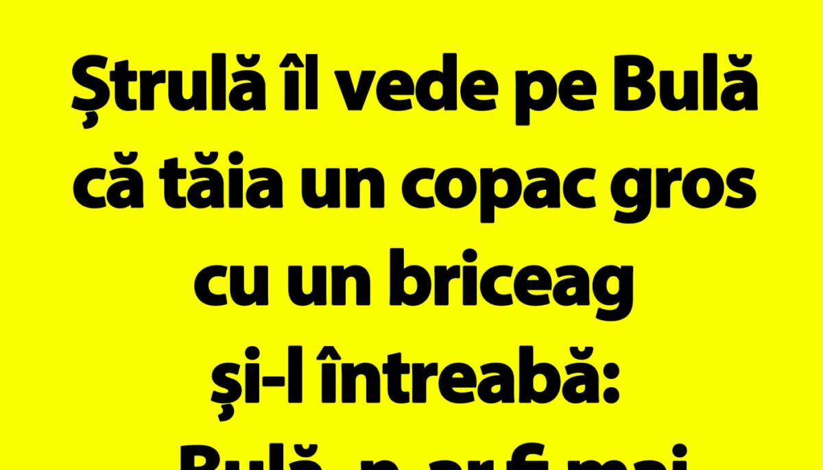 Imagine Stire Bancul de duminică | Ștrulă îl vede pe Bulă că tăia un copac gros cu un briceag | 2review.ro