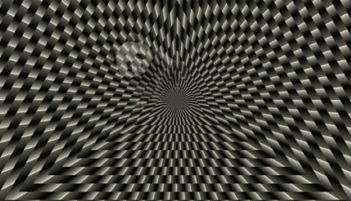 Imagine Stire Iluzie optică | Ce animal se ascunde în această imagine? Geniile răspund corect în 19 secunde | 2review.ro