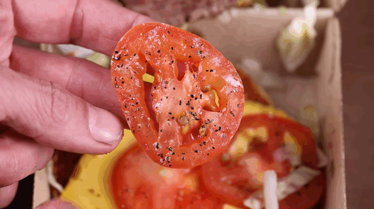 Imagine Stire Pasionat de grădinărit, un bărbat a plantat semințe de roșii dintr-un burger de la McDonald’s. Ireal ce s-a întâmplat 3 luni mai târziu | 2review.ro