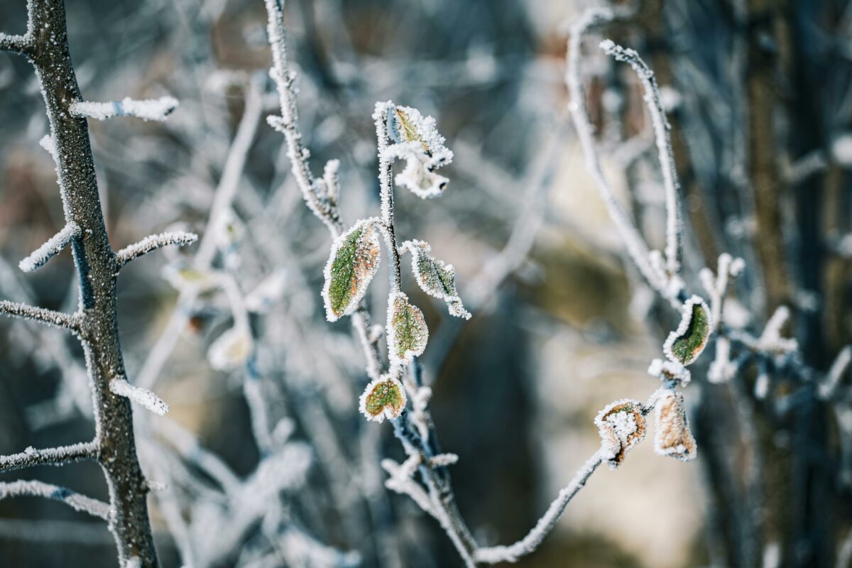 Prognoza meteo azi, 18 martie 2026. Brumă în Transilvania: temperaturile scad sub zero în depresiunile intramontane