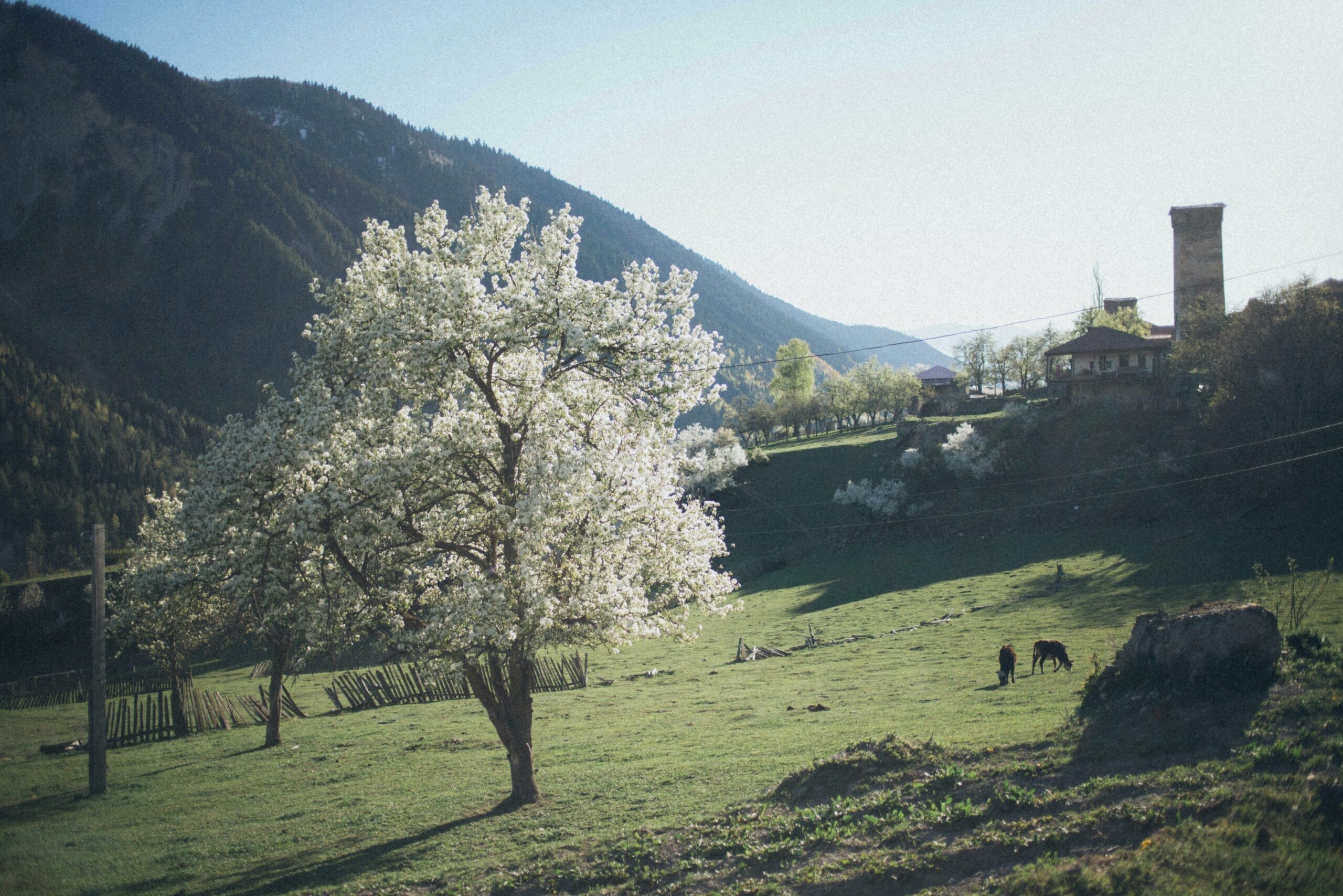 temperaturi de până la 12°C în România