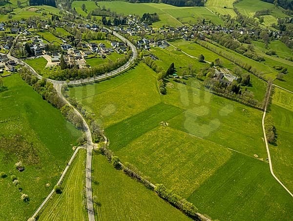 Locul de vis din România pe care trebuie să-l vizitezi: Poiana Narciselor