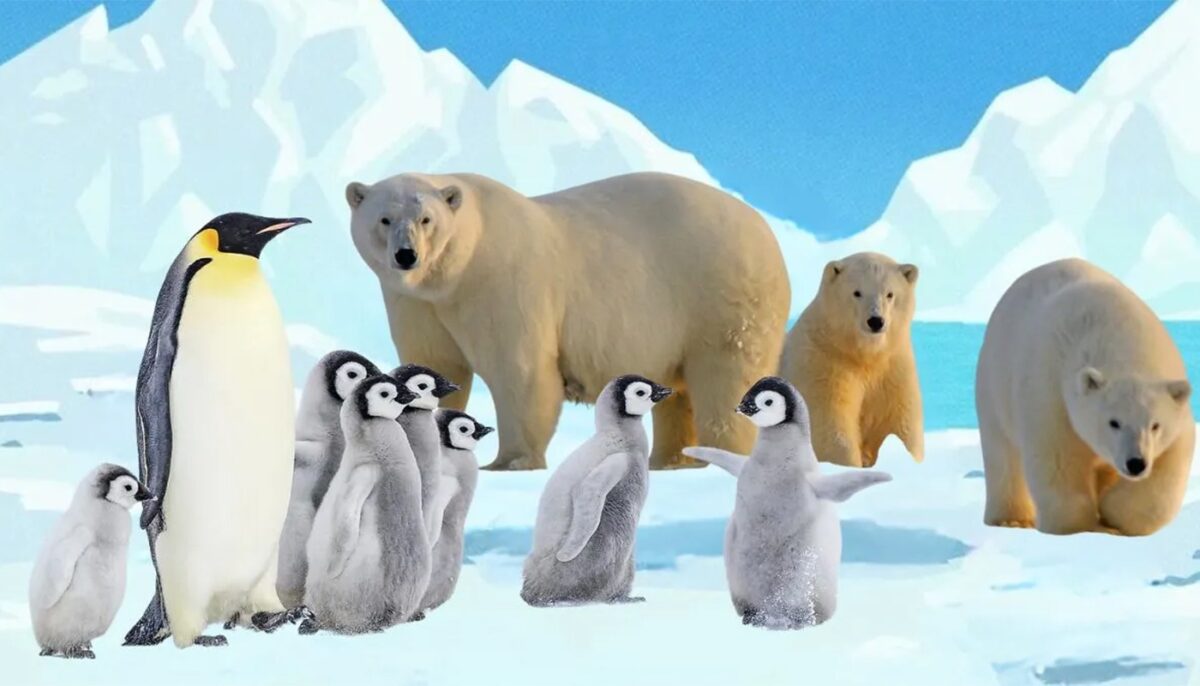 Imagine Stire Test IQ exclusiv pentru genii | Găsiți greșeala din această imagine polară! | 2review.ro