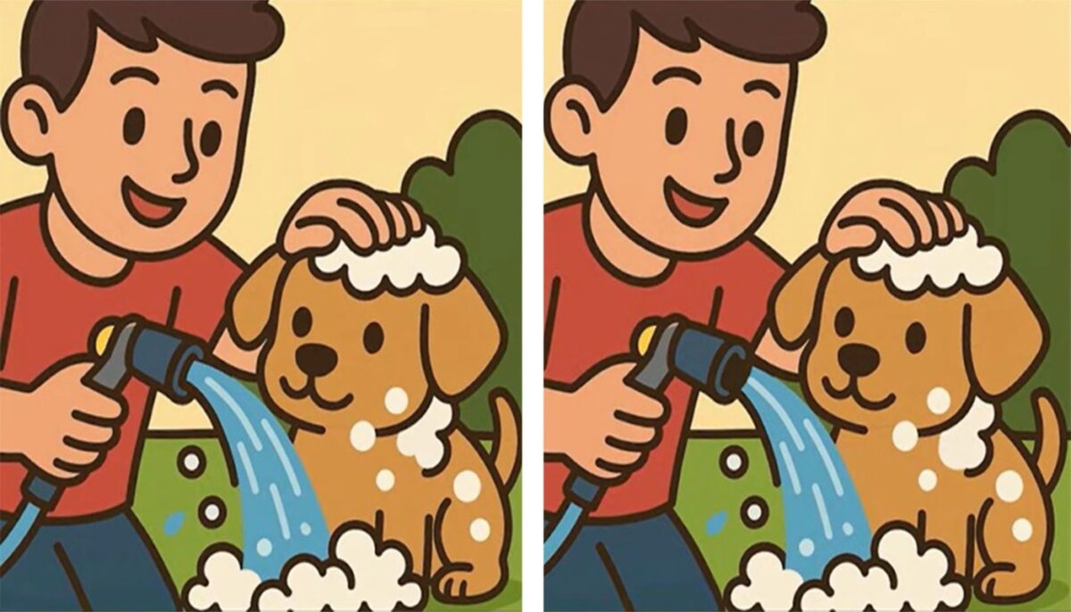 Imagine Stire Test de logică | Aceste două imagini nu sunt identice, chiar dacă par. Identificați 3 diferențe în jumătate de minut! | 2review.ro