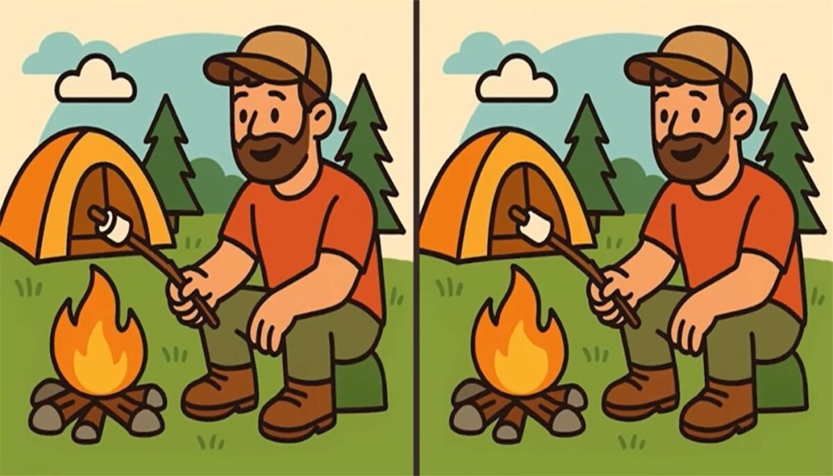 Imagine Stire Test de logică | Aceste două imagini par identice, dar nu sunt. Găsiți cele 3 diferențe în maximum 51 de secunde | 2review.ro