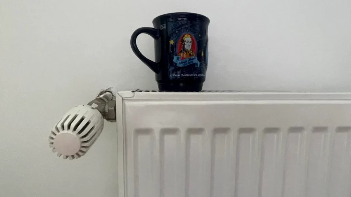 Plantele care combat igrasia. Absorb umezeala și curăță eficient aerul din casă