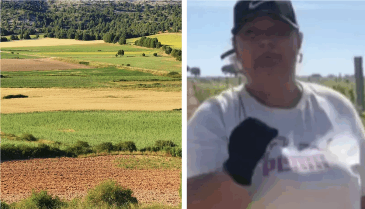 Imagine Stire Cât oferă Marinela din Spania pentru munca la vie. Anunțul ei a devenit viral pe TikTok | 2review.ro