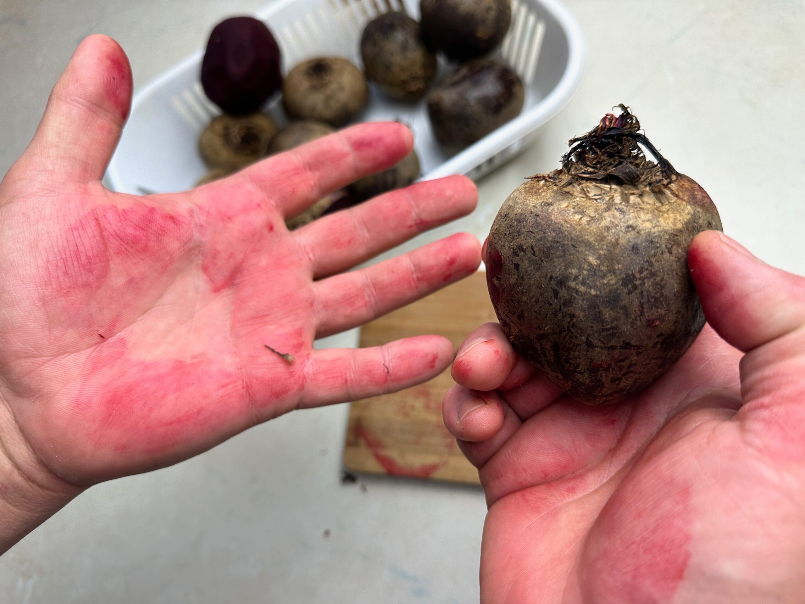 doua maini de barbat care tin sfecla rosie, patate de sfecla, cu un carton maro si un cos din plastic plin de sfecla