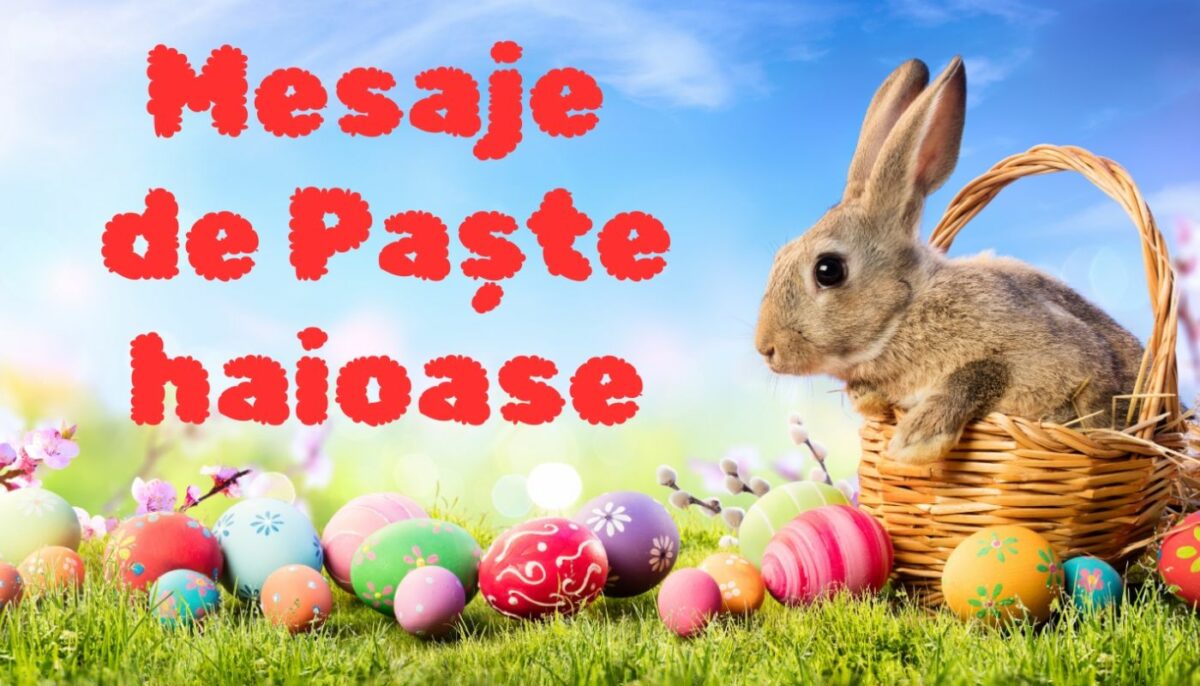Imagine Stire Mesaje de Paște haioase: Iepurași amuzanți și urări cu umor pentru prieteni și colegi | 2review.ro