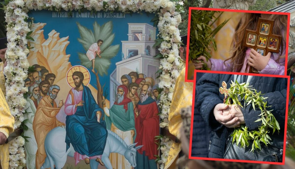 Imagine Stire Semnificația Floriilor: Intrarea Domnului în Ierusalim și simbolul ramurilor de salcie | 2review.ro