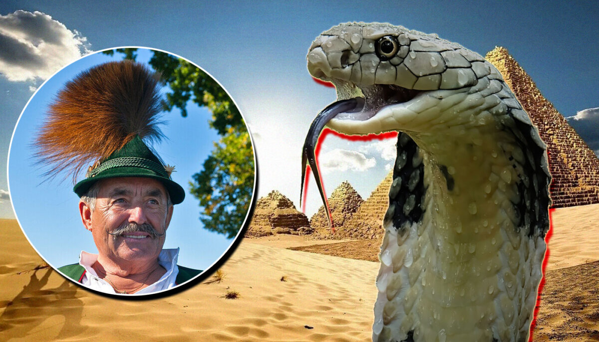 Imagine Stire Un moment de divertisment într-o vacanță din Egipt s-a transformat în tragedie: turist mușcat mortal de șarpe | 2review.ro