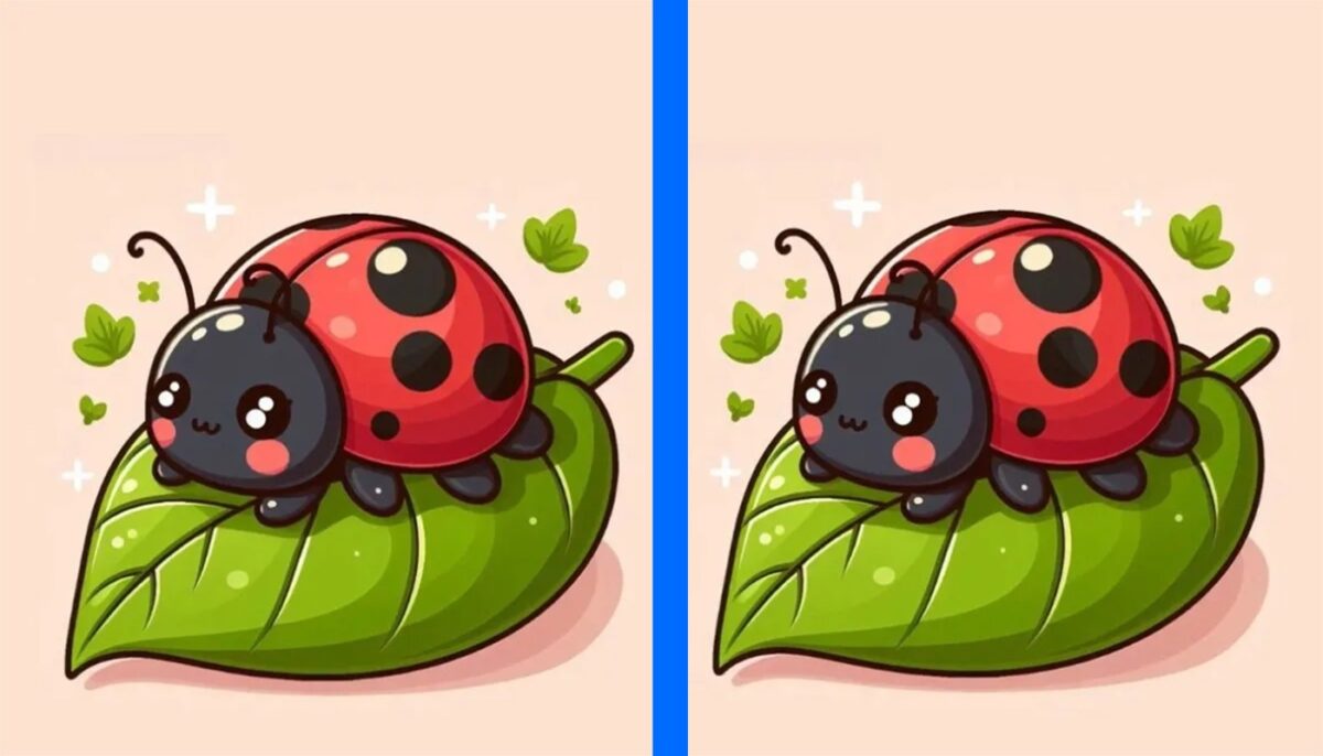 Imagine Stire TEST IQ | 3 diferențe în maximum 29 de secunde: Le puteți descoperi pe toate? | 2review.ro