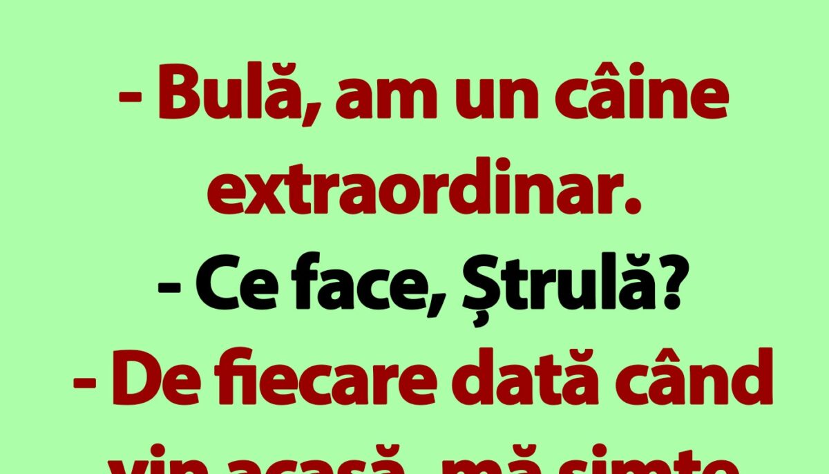 Imagine Stire BANC | Bulă și câinele extraordinar | 2review.ro