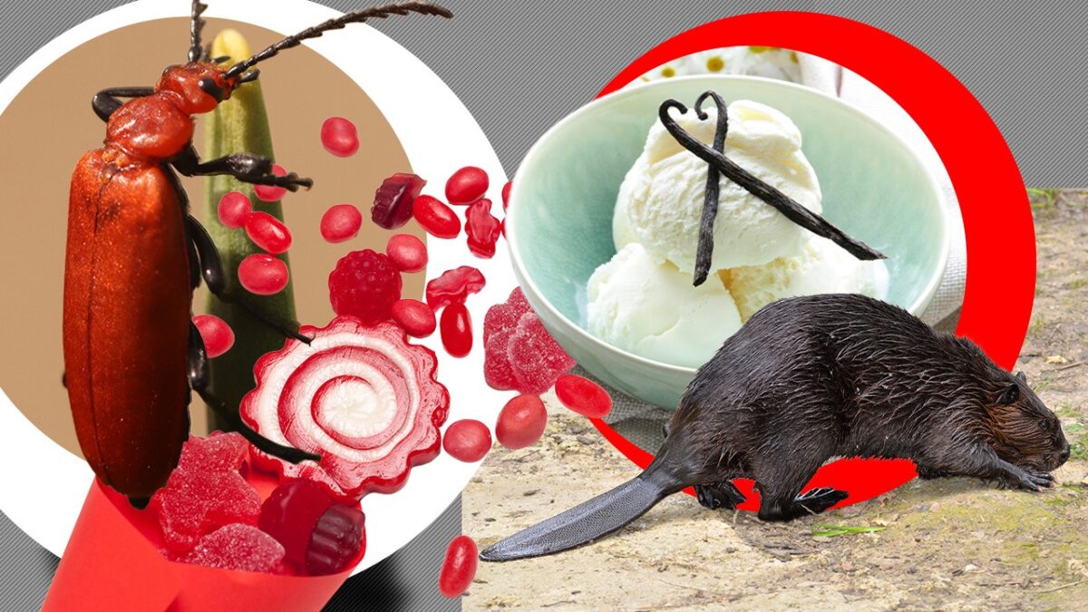 Imagine Stire Adevărul din farfurie. Care sunt ingredientele dezgustătoare din mâncărurile noastre preferate | 2review.ro