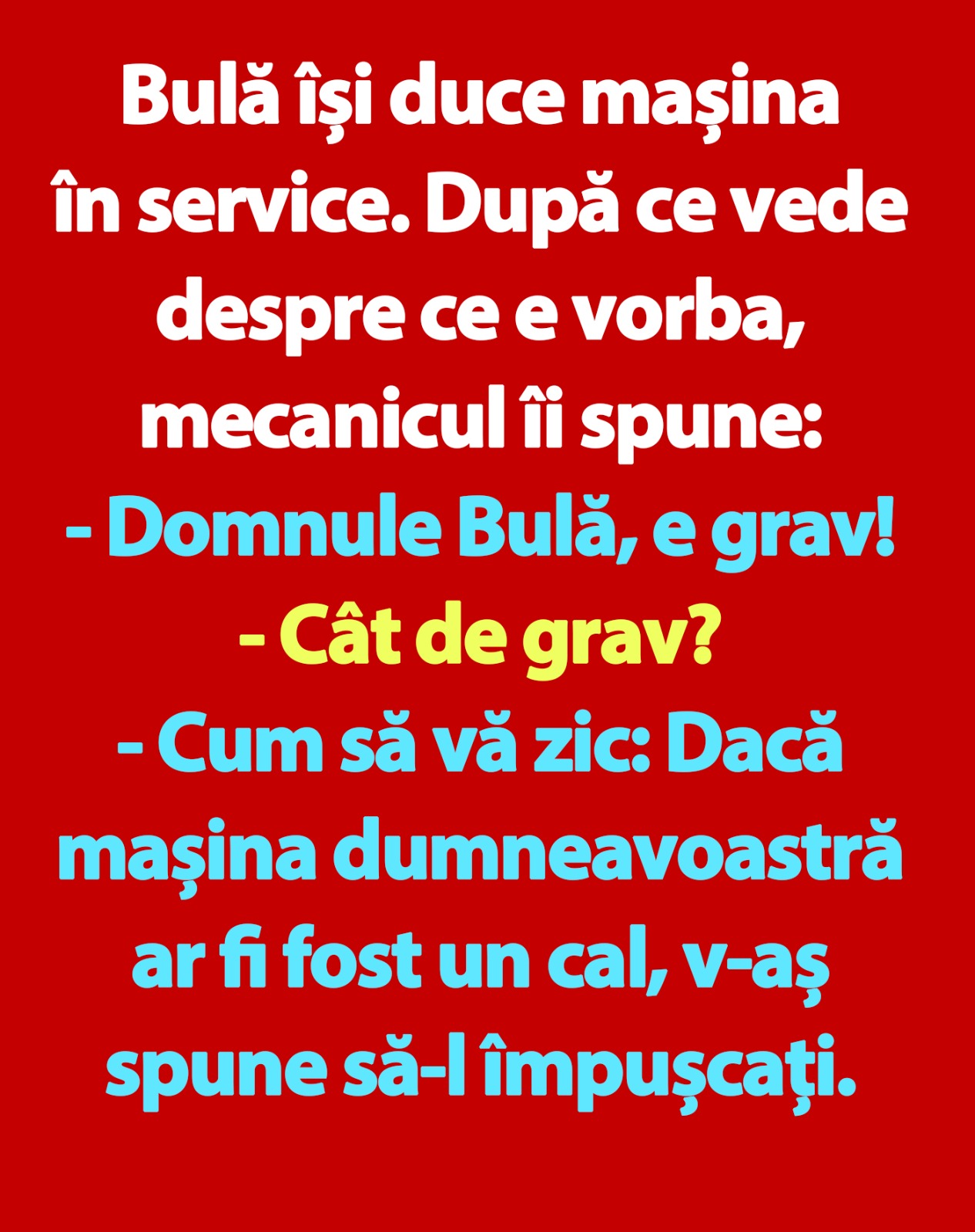 BANC | Bulă își duce mașina în service