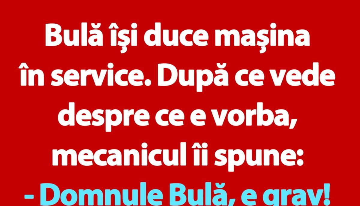 Imagine Stire BANC | Bulă își duce mașina în service | 2review.ro