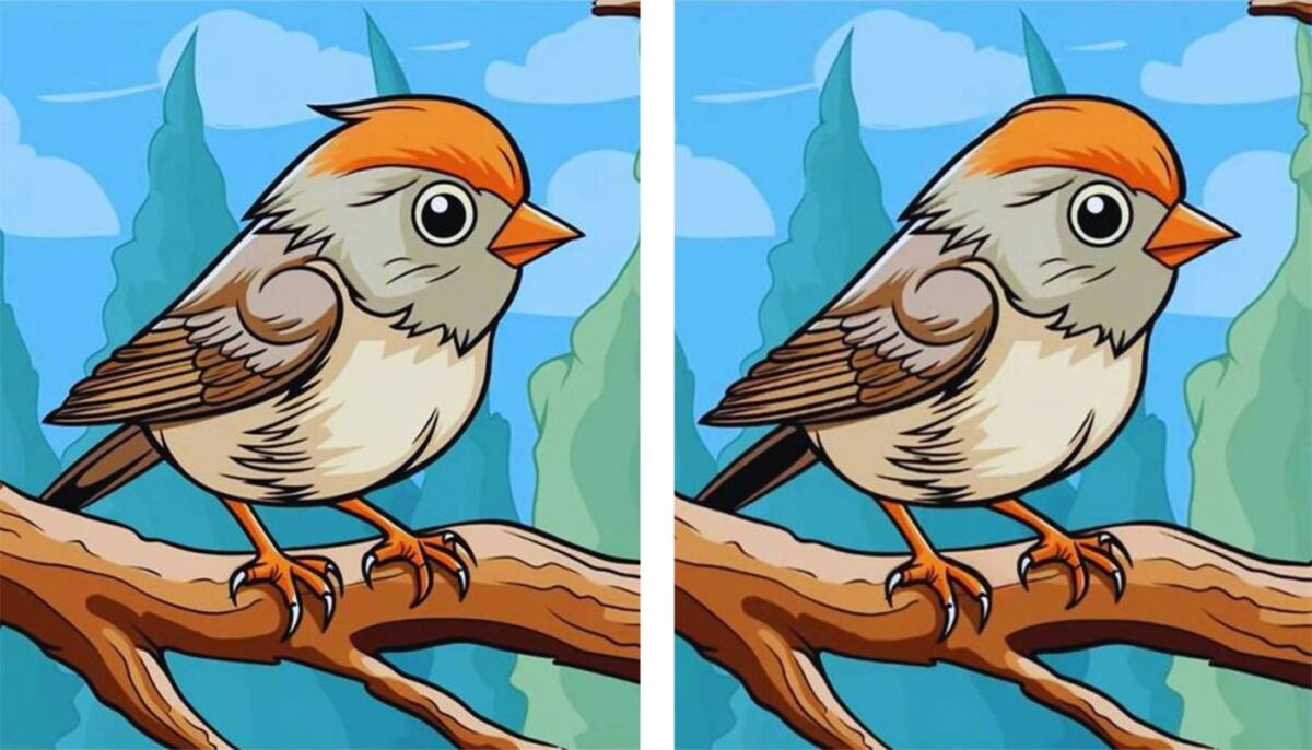 Imagine Stire TEST IQ | Aceste două vrăbiuțe par identice, dar nu sunt. Identificați toate cele 3 diferențe! | 2review.ro