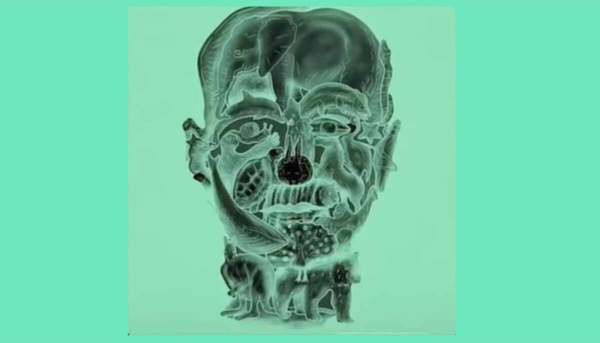 Imagine Stire Test psihologic | Care este primul animal pe care-l vezi în această poză? Răspunsul îți va spune dacă ești o persoană toxică sau nu | 2review.ro