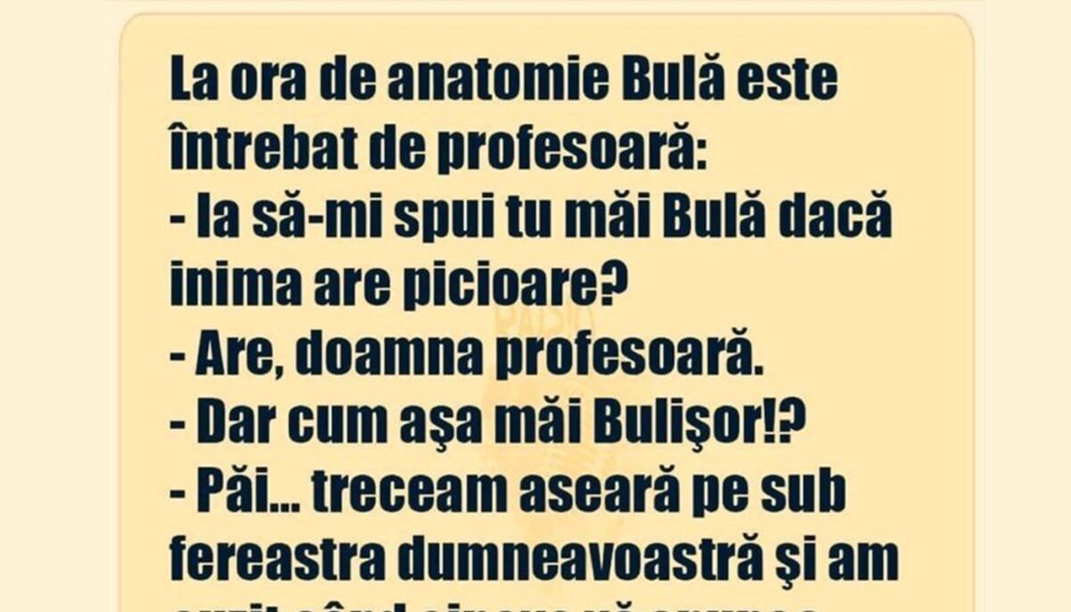 Imagine Stire BANC | Profesoara de anatomie îl întreabă pe Bulă: „Inima are picioare?” | 2review.ro