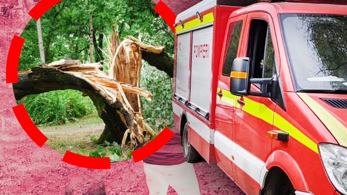 Imagine Stire Tragedie în pădure produsă în această dimineață: pompierii au luptat în zadar pentru viața unui bărbat | 2review.ro